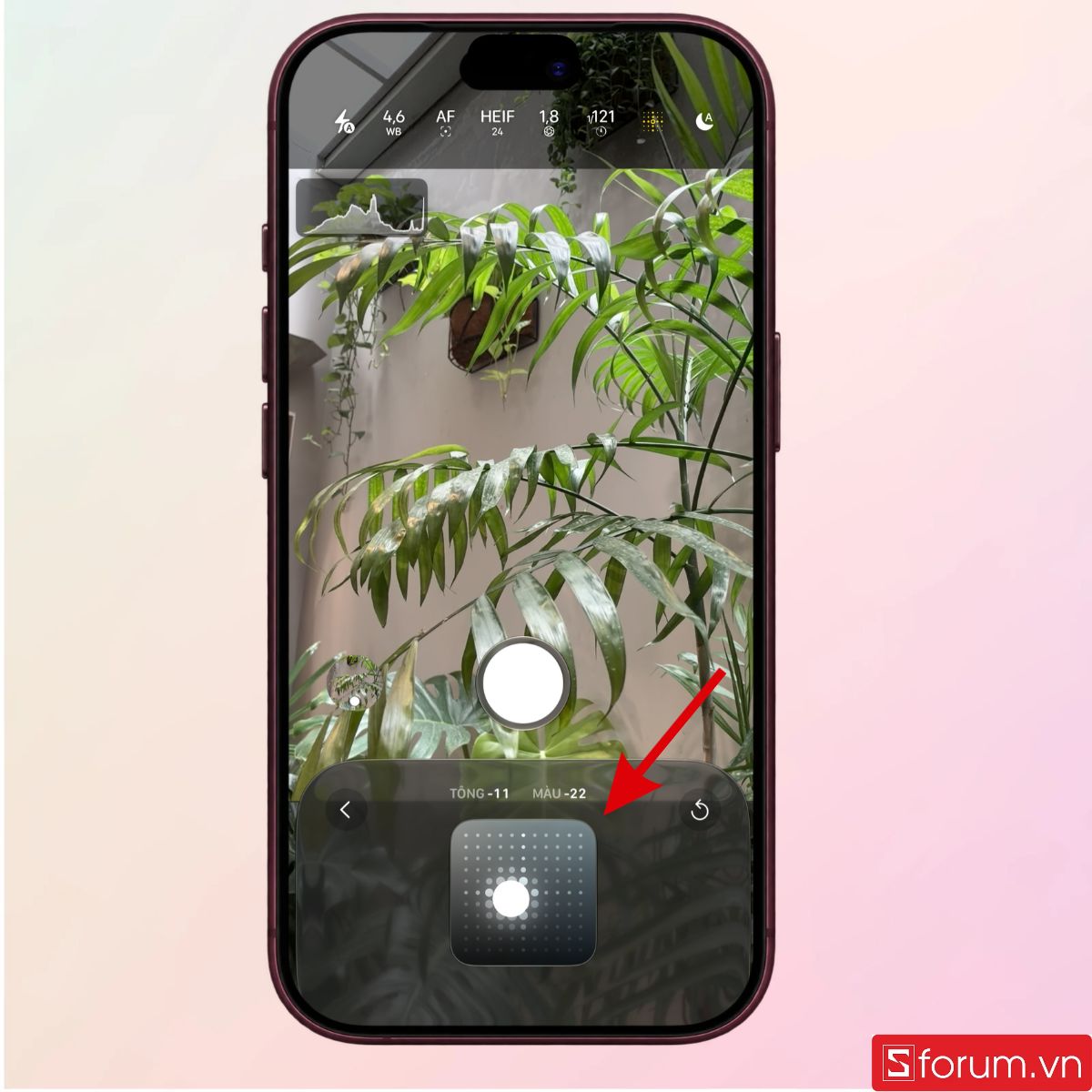 Bạn có thể tinh chỉnh tông màu theo ý thích