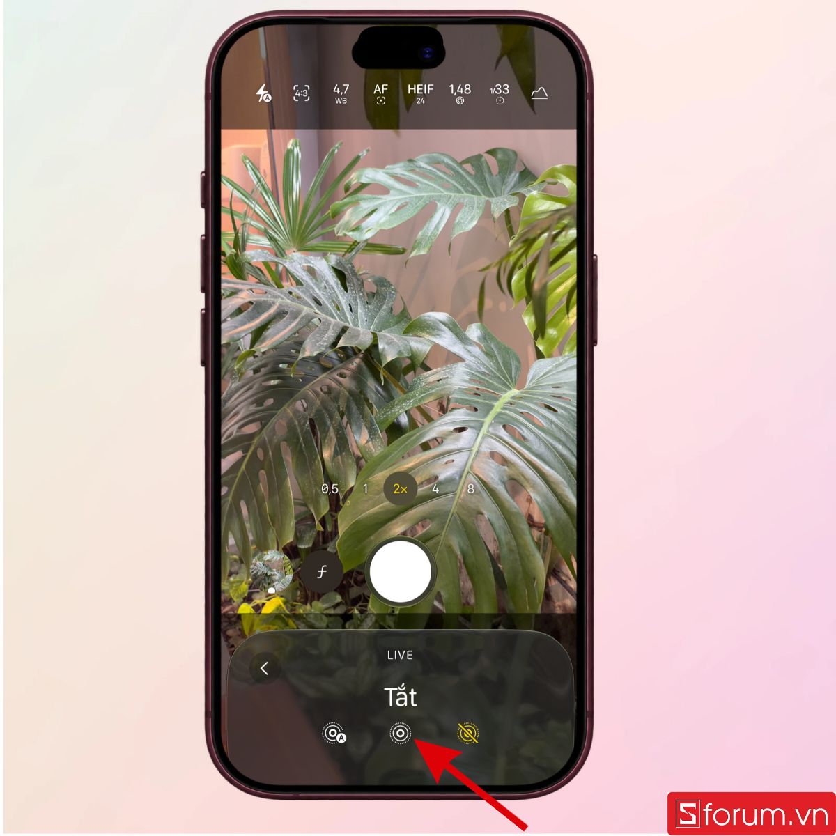 Bật Live để bắt đầu chụp ảnh