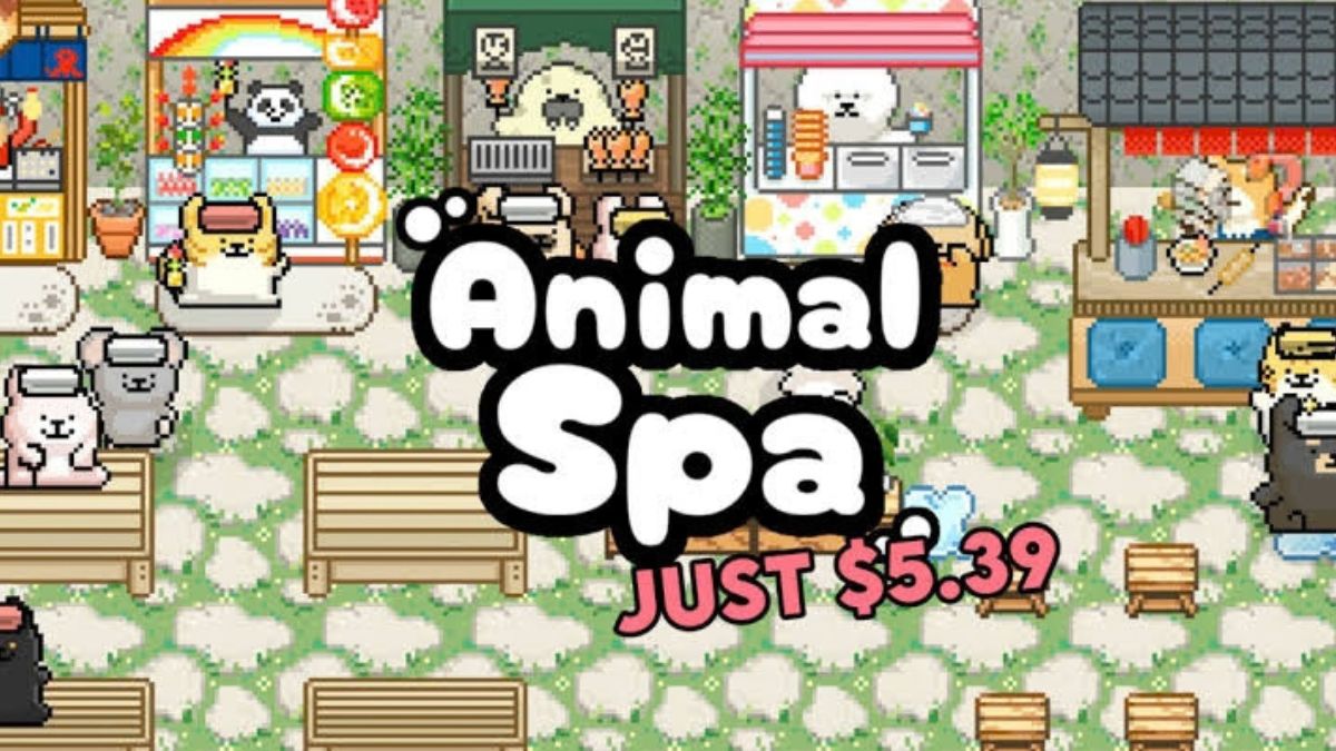 Cách nâng cấp nhân viên và cải thiện hiệu quả vận hành Animal Spa