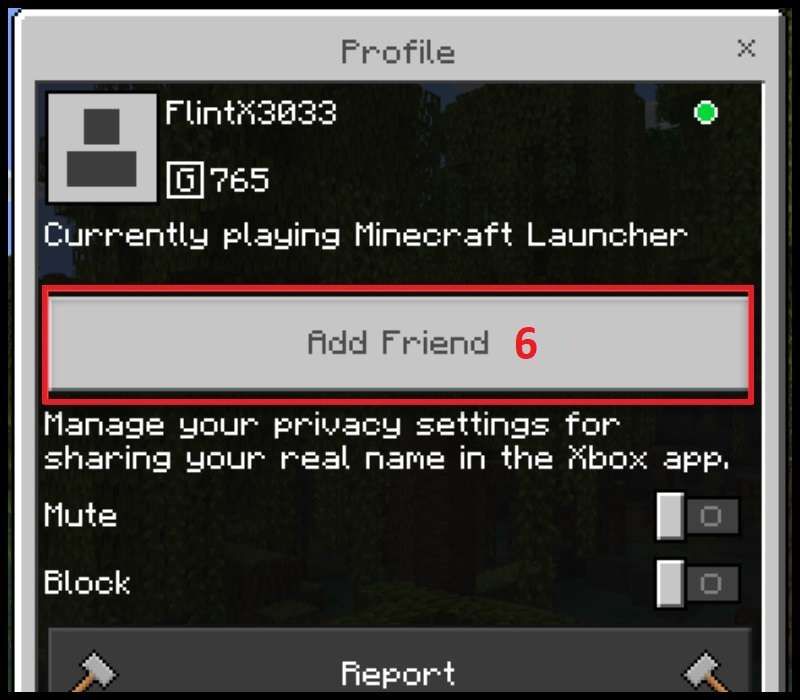 Nhấn Add fried để kết nối với bạn bè