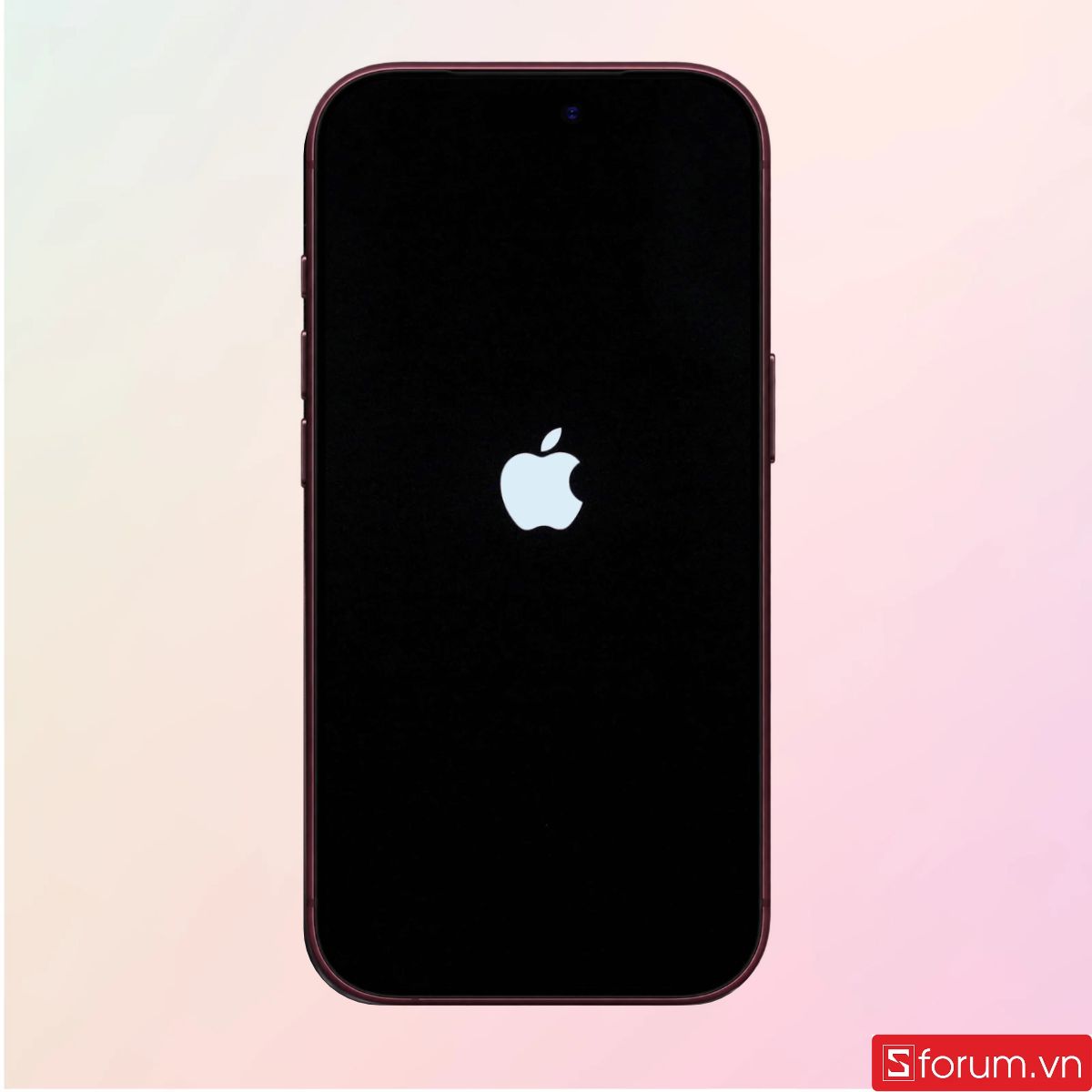 Dí nút sườn cho đến khi logo Apple xuất hiện