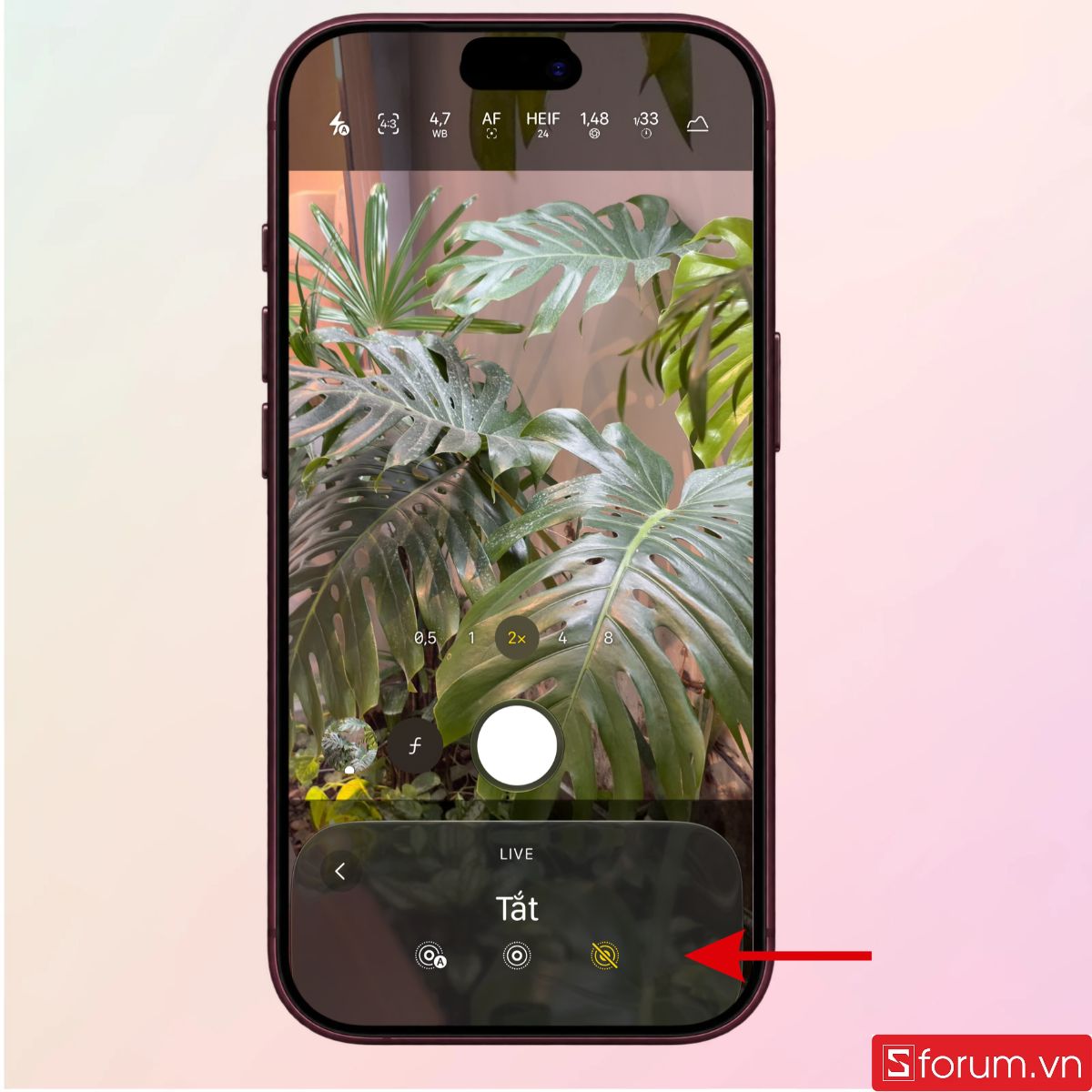 Tùy chọn Live Photo và bắt đầu chụp ảnh