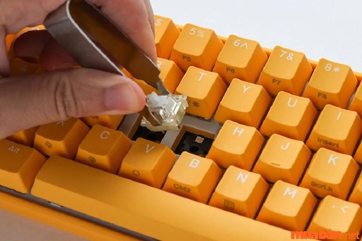 Switch bàn phím cơ gặp lỗi