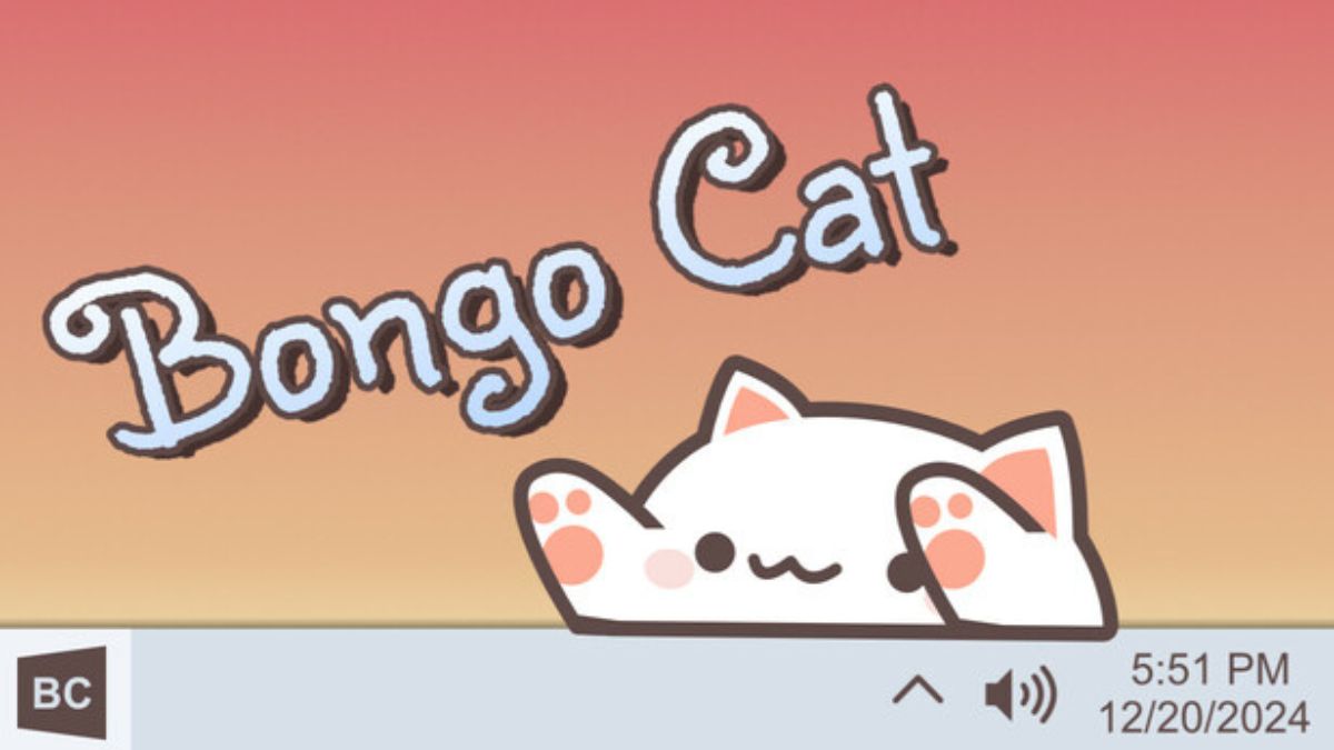 Lưu ý chung khi chơi Bongo Cat