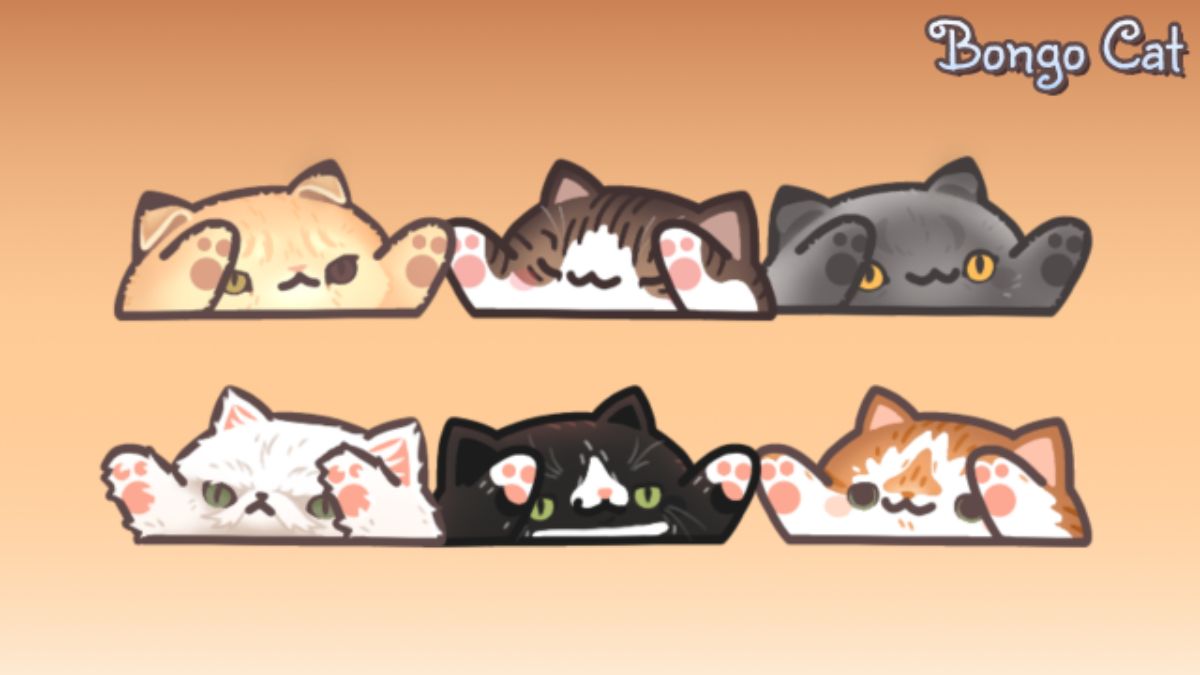 Hãy làm quen với giao diện chính của Bongo Cat