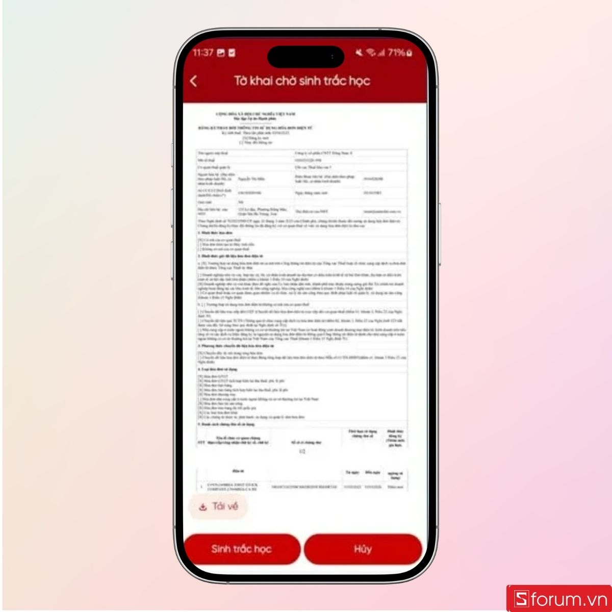 Thông tin tờ khai chờ sinh trắc học sẽ hiển thị đầy đủ