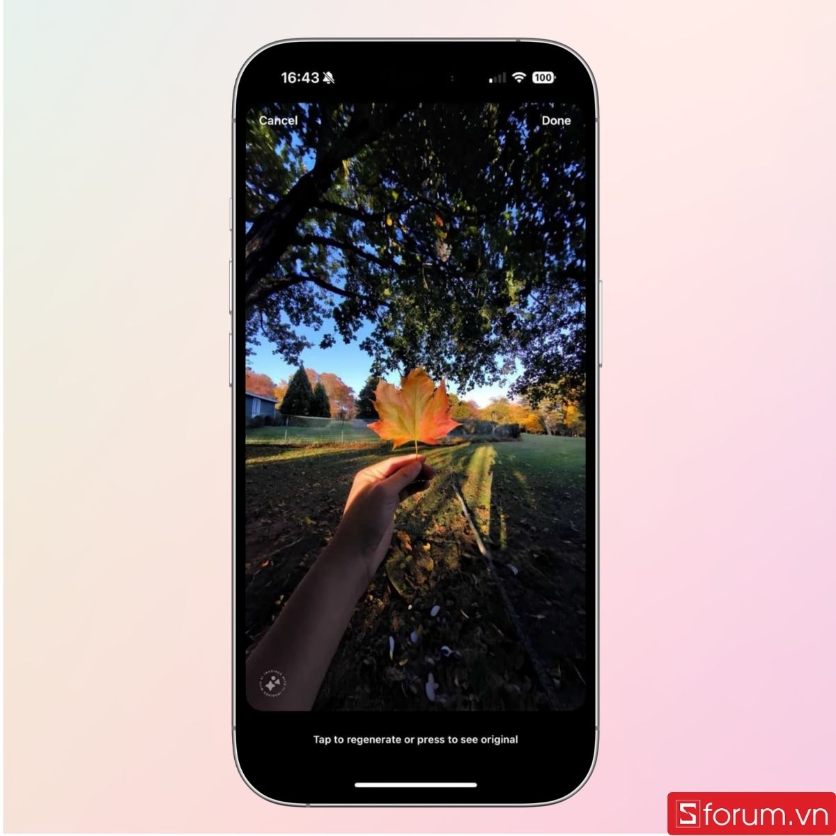 Kiểm tra ảnh đã chỉnh sửa và tạo tin trên Instagram
