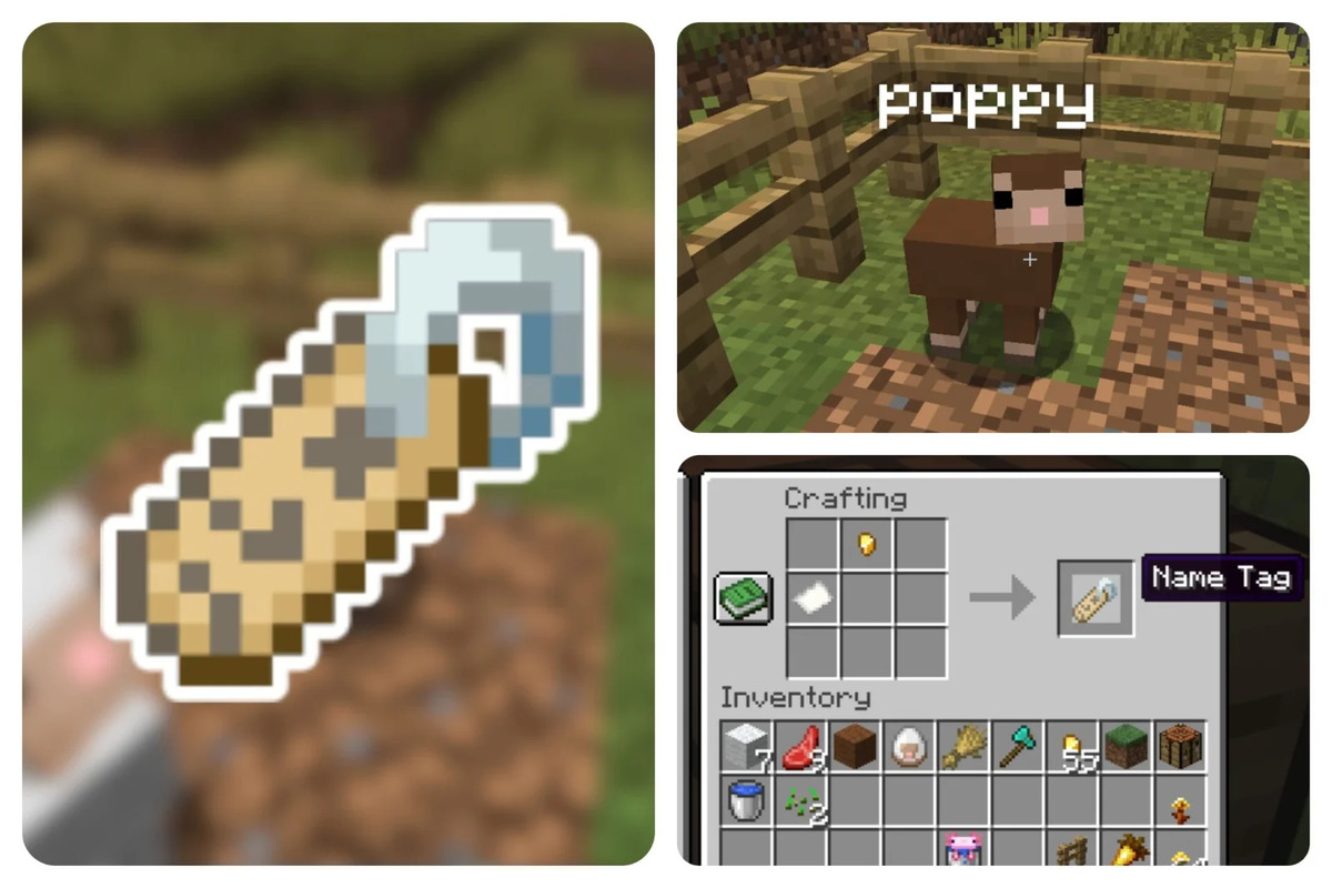 Minecraft Name Tag có tác dụng gì?