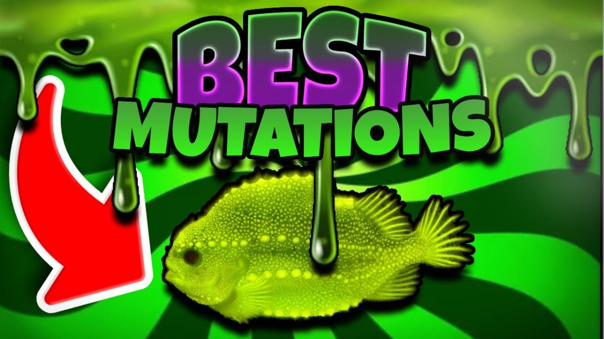 Tổng quan về Mutations Fisch