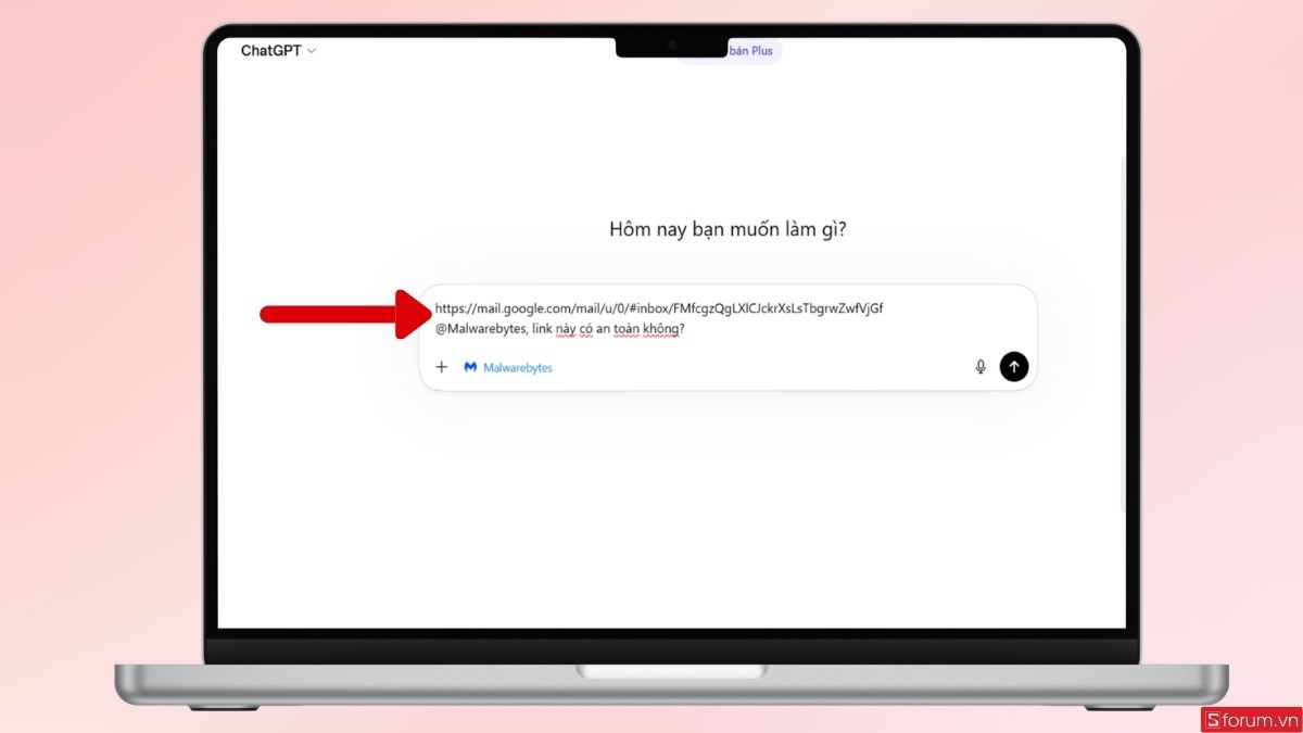 Nhập lệnh yêu cầu kiểm tra link truy cập