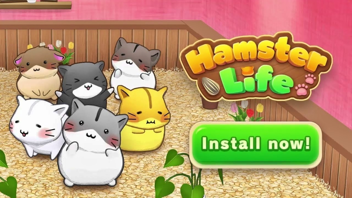 Hamster Life cho bạn trải nghiệm chăm sóc từng chú Hamster một