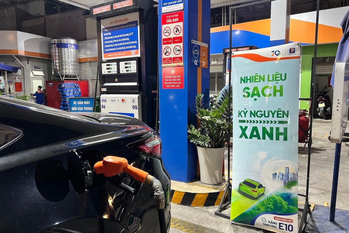 Hầu như mọi loại xe đều có thể sử dụng xăng E10