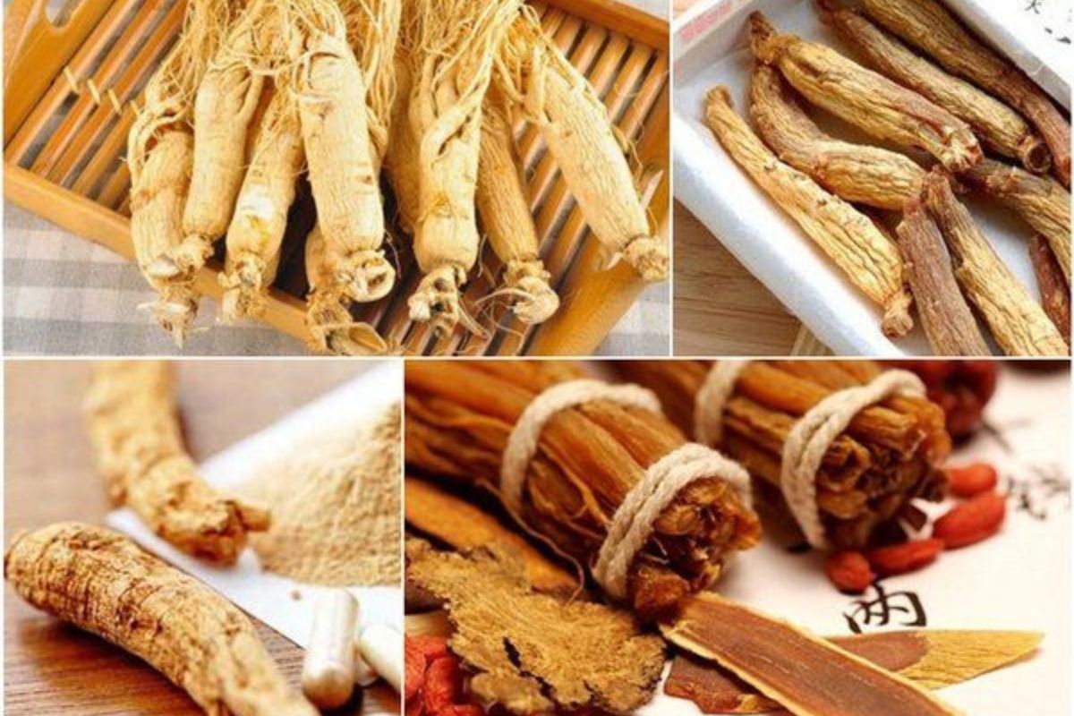 Quà tặng Nhân sâm Hàn Quốc