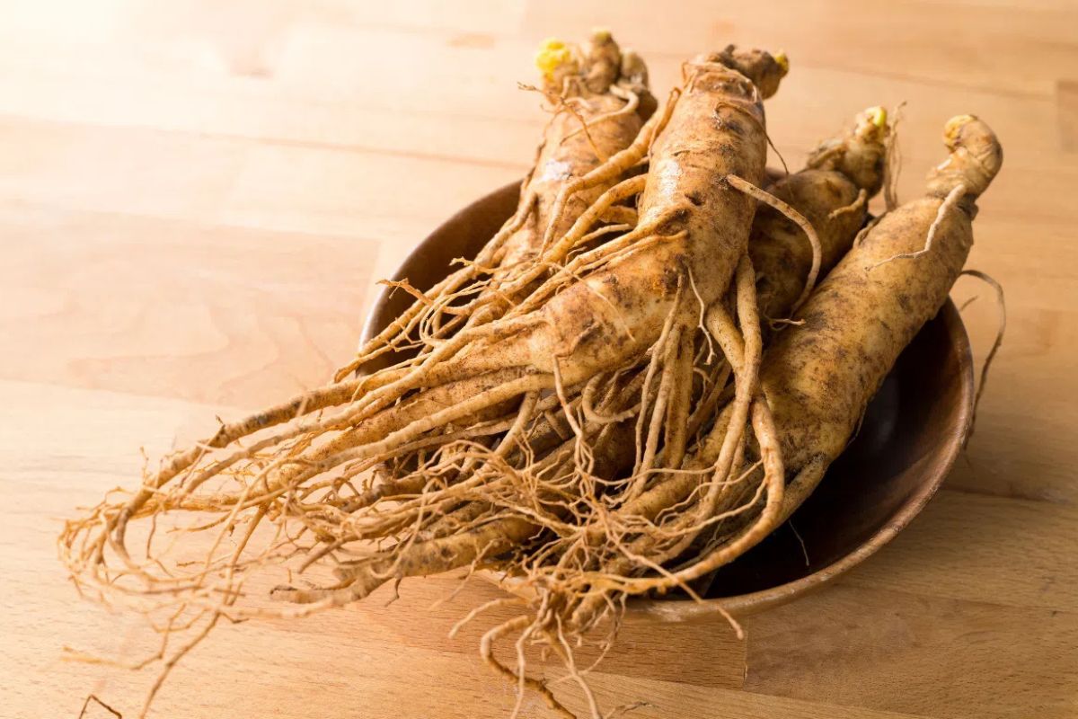 Nhân sâm Hàn Quốc là món quà cao cấp