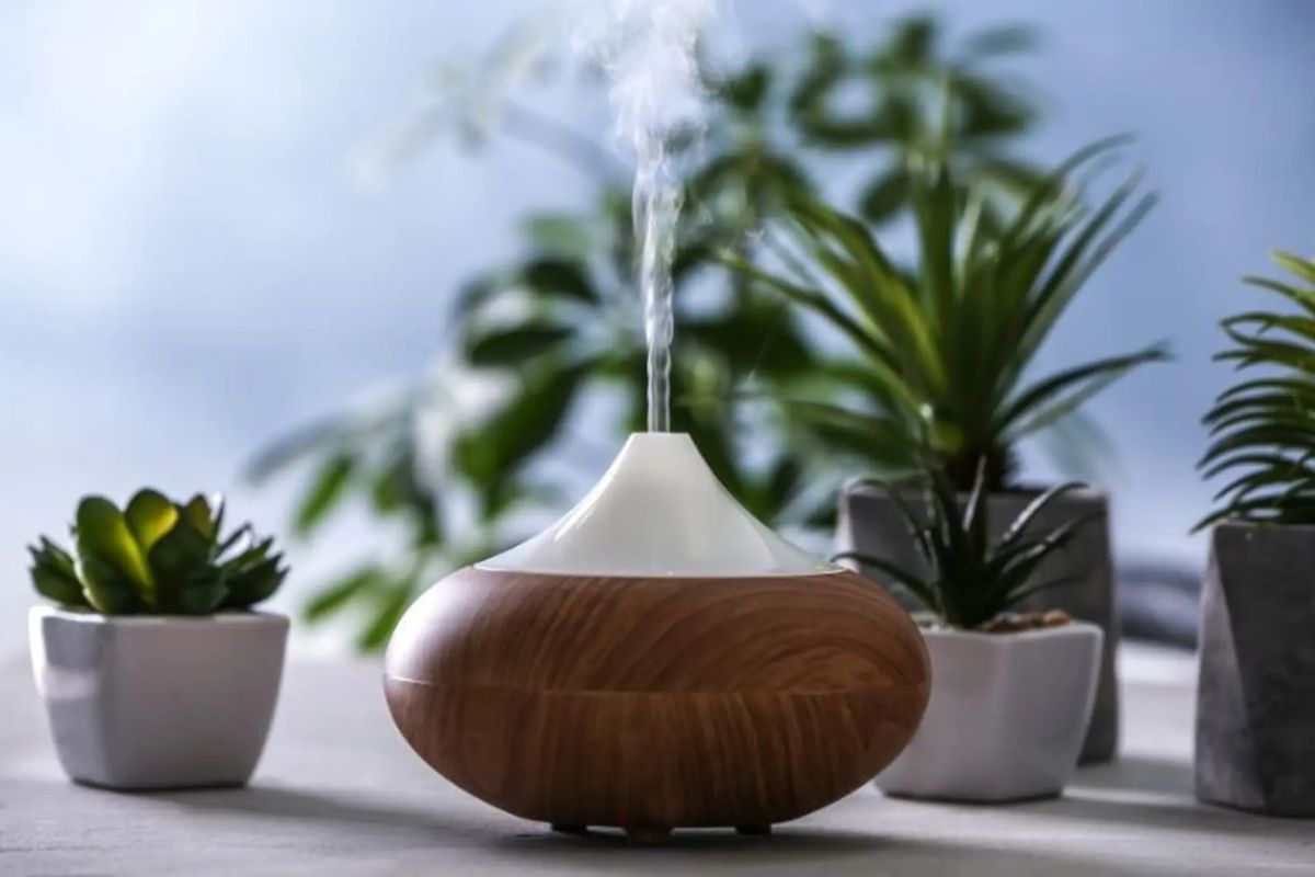 Dùng máy xông tinh dầu làm quà tặng tết