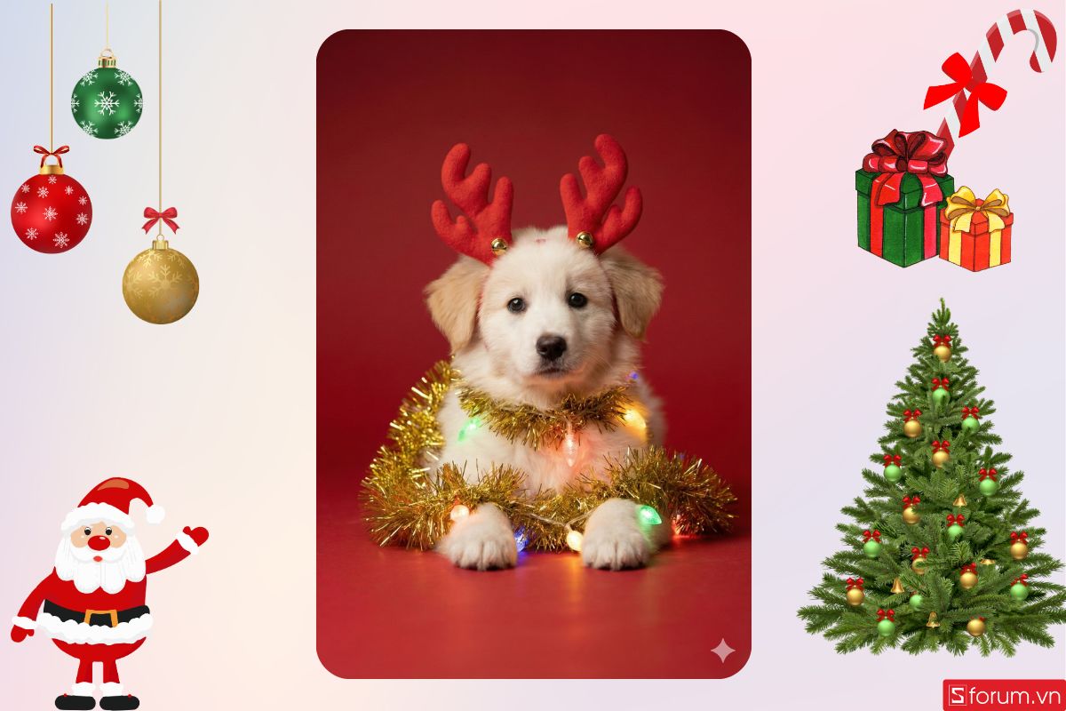 Ảnh được tạo bởi prompt 13