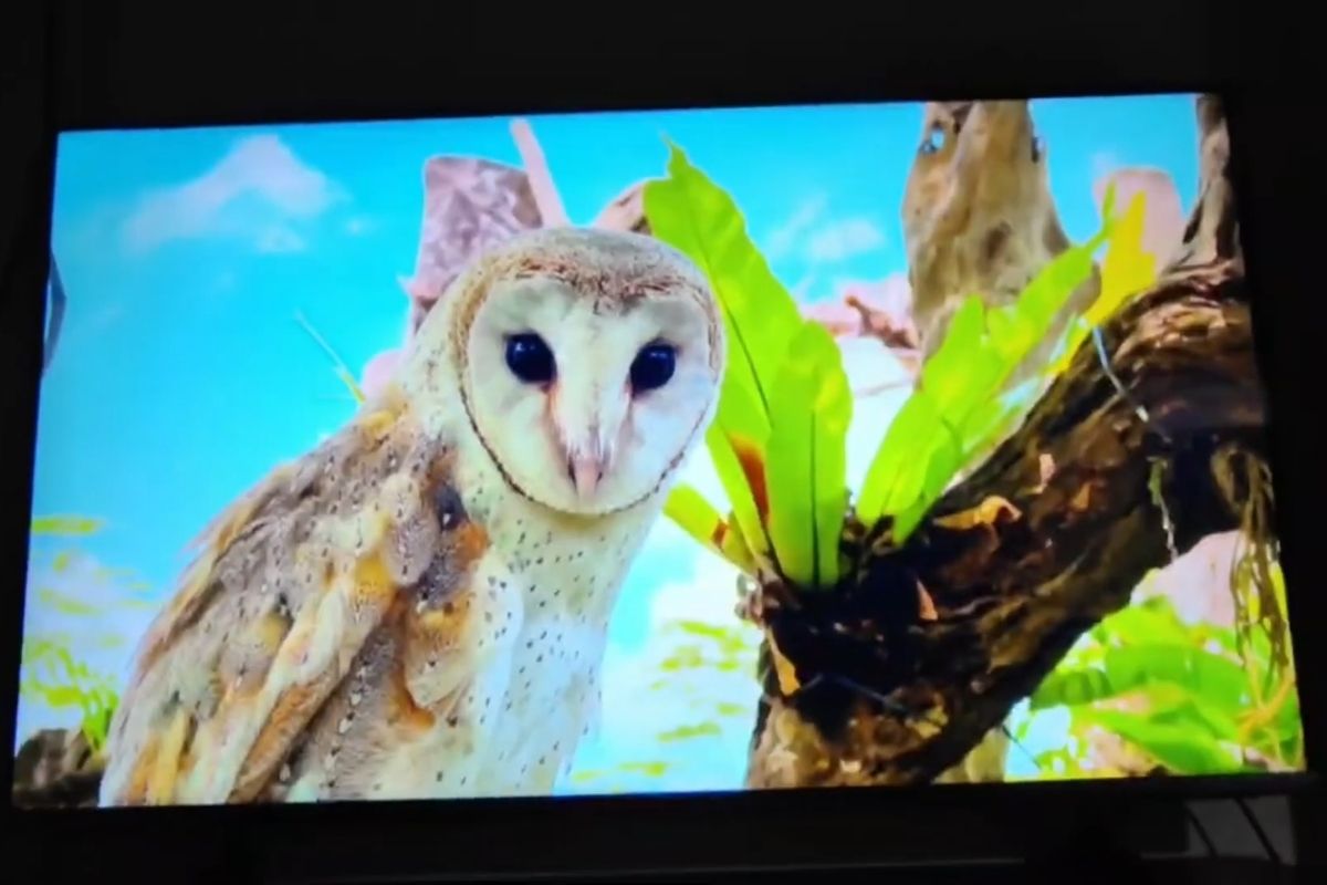 Sale 2/9 săn ngay 4 mẫu Tivi màn hình lớn giảm sâu - Samsung UHD 4K 43 inch 43U8500H
