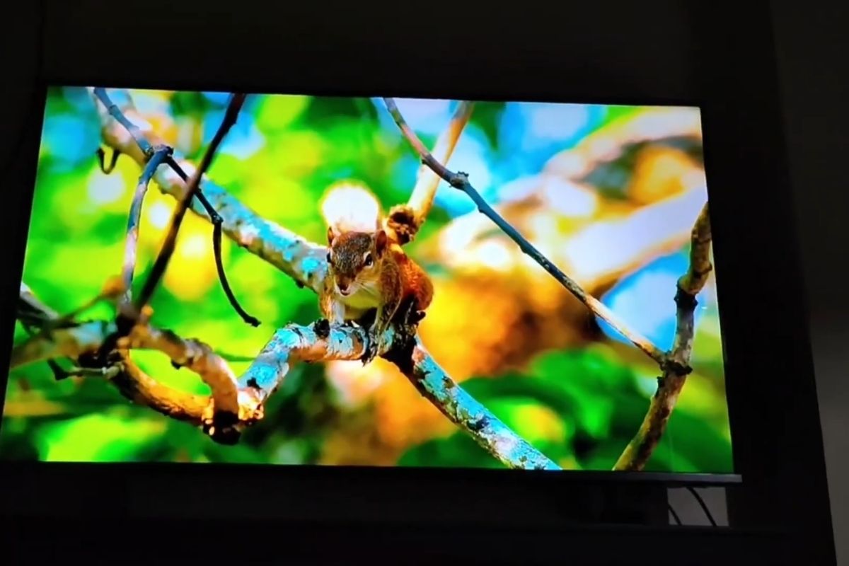 Sale 2/9 săn ngay 4 mẫu Tivi màn hình lớn giảm sâu - Samsung UHD 4K 43 inch 43DU7000