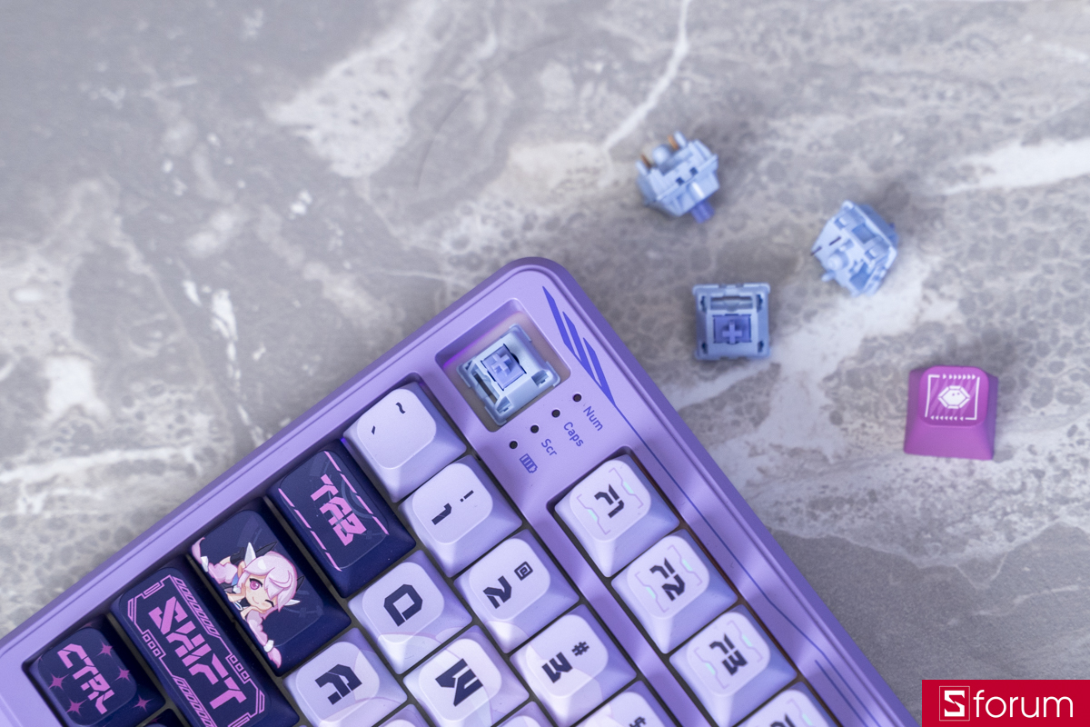 COLORFUL MECH QY98 Pro Purple giúp mình dễ dàng thay switch khi cần thiết