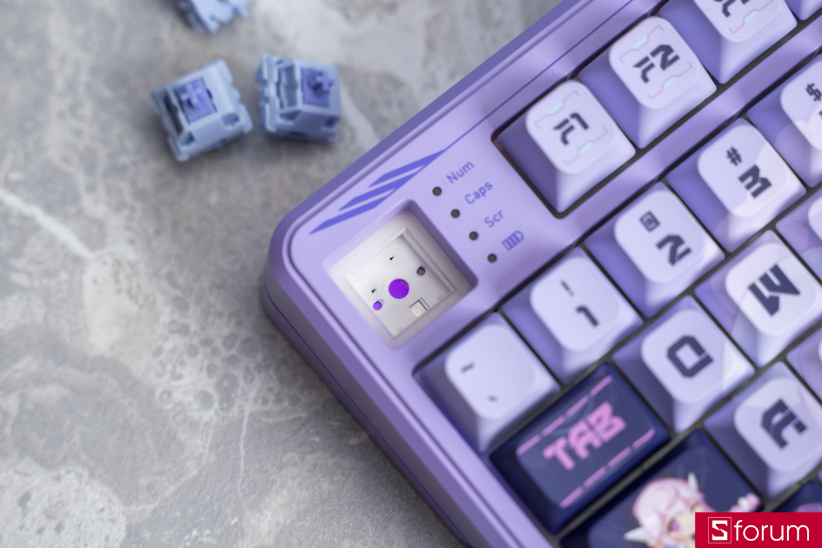 COLORFUL MECH QY98 Pro Purple giúp mình dễ dàng thay switch khi cần thiết