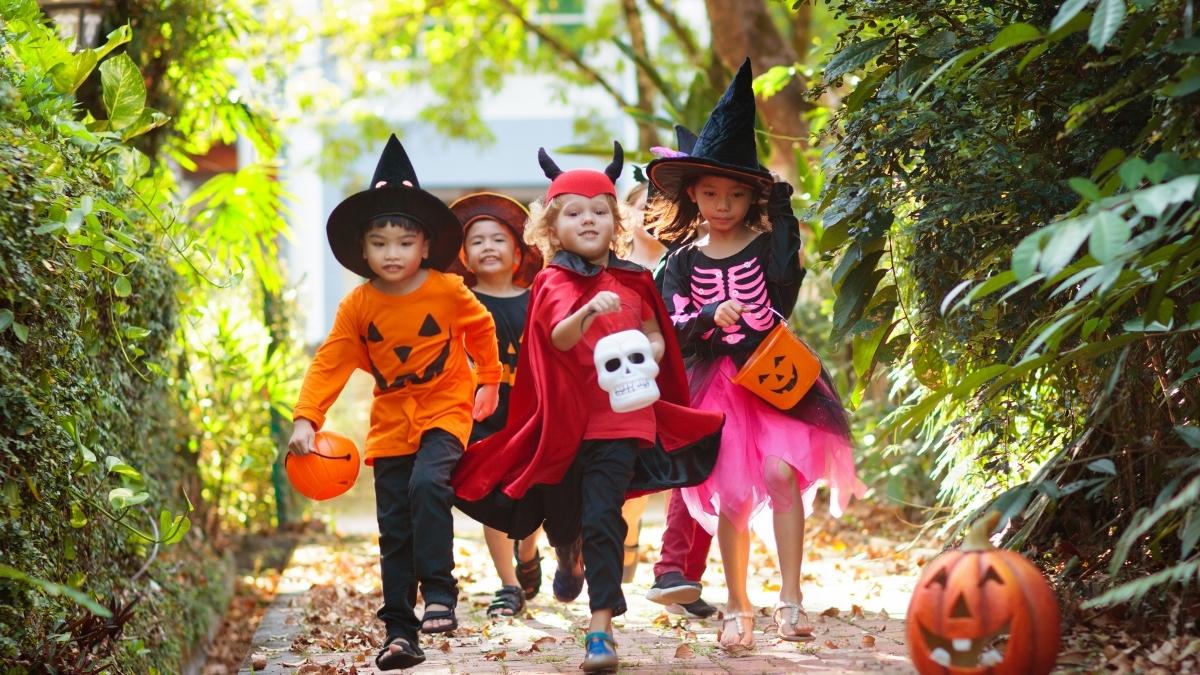 halloween đi xin kẹo
