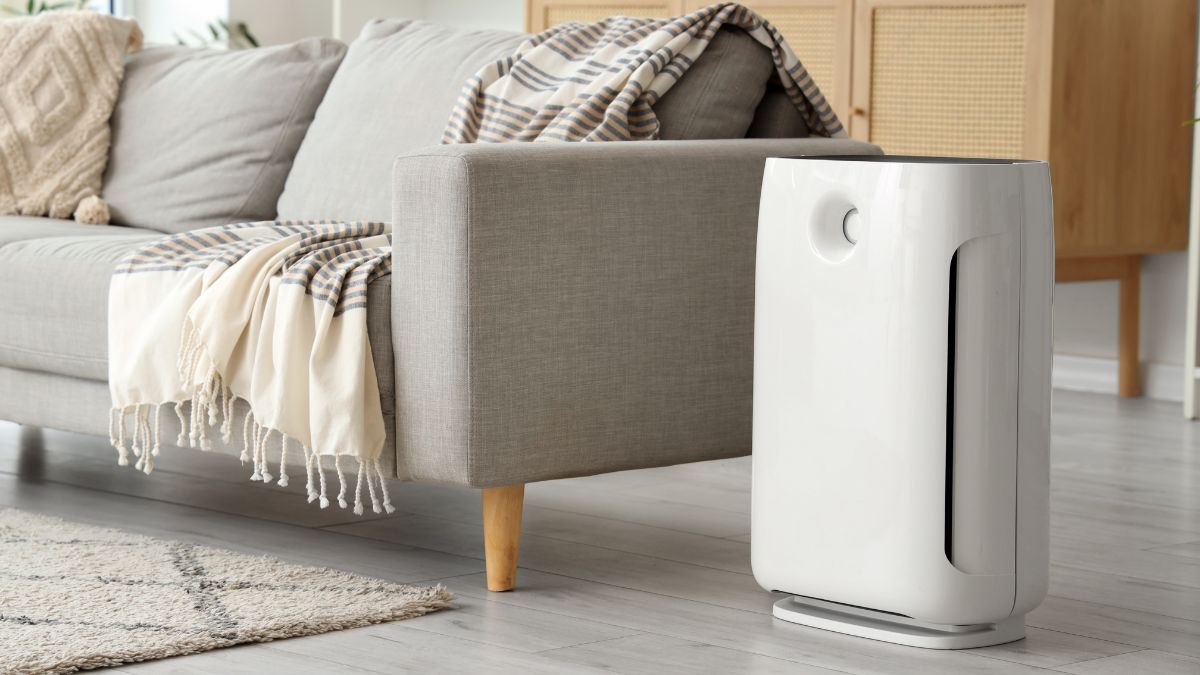 Gợi ý top quà 8/3 cho mẹ chồng khéo léo, ghi điểm nhất máy lọc không khí