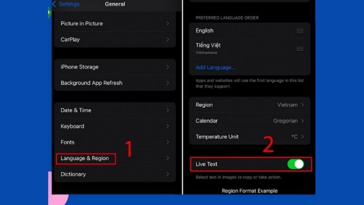 Cách scan tài liệu trên iPhone bằng Live Text