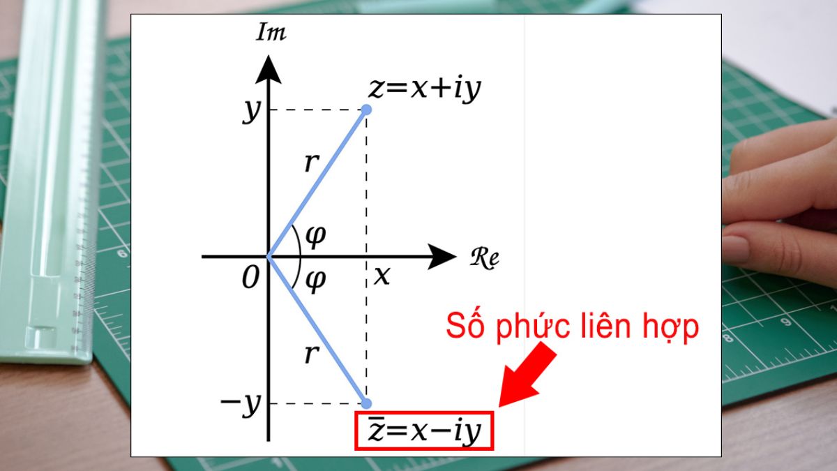 Hình biểu diễn số phức liên hợp