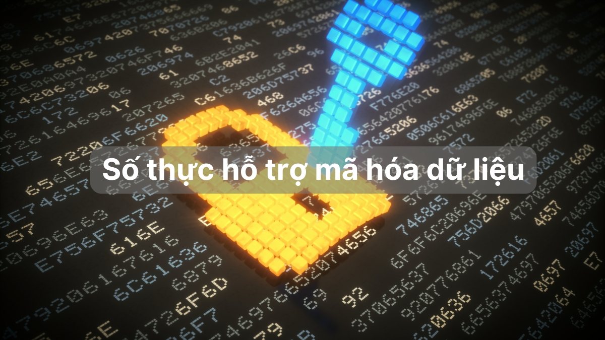 Số thực hỗ trợ trong một số lình vực khác