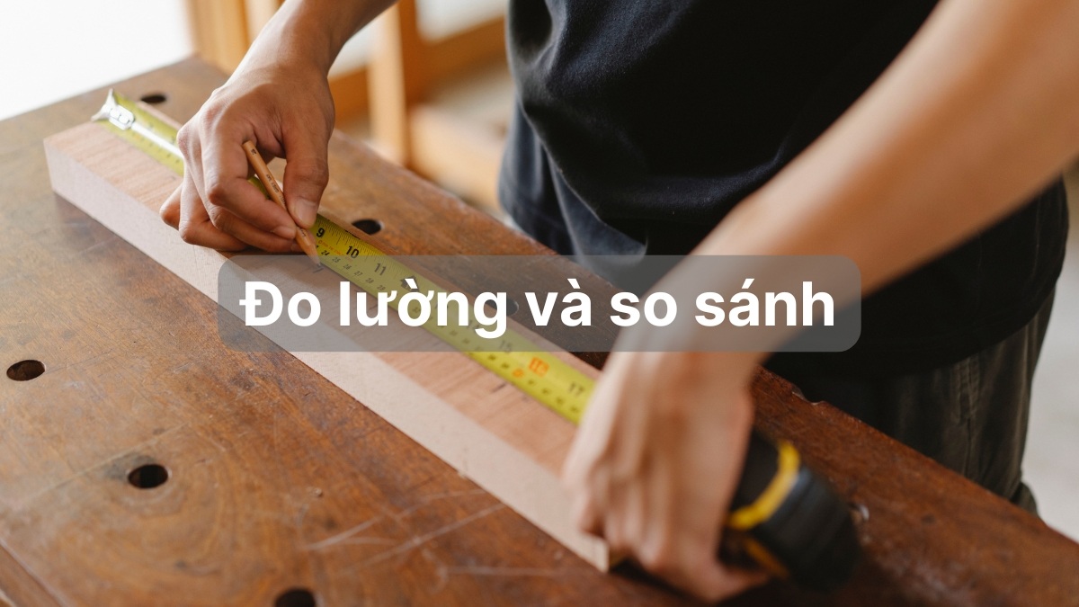 Tập hợp R giúp đo lường và so sánh