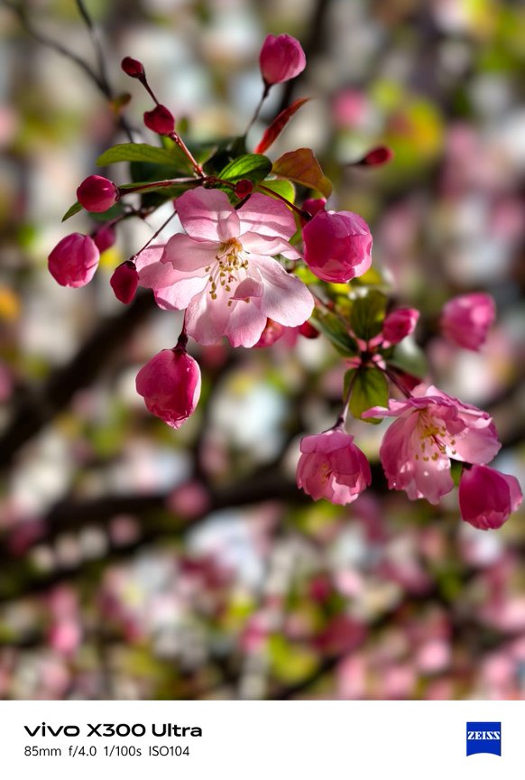 Ảnh chụp từ vivo X300 Ultra