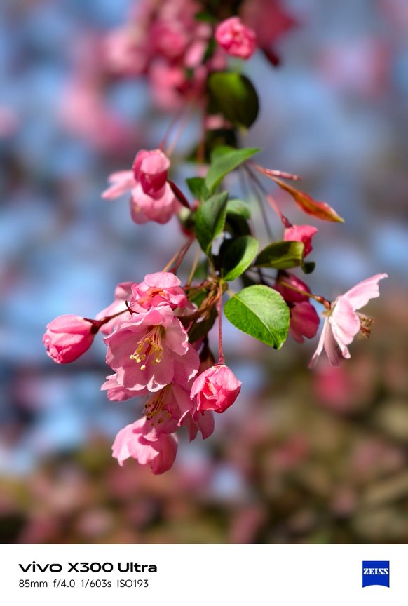 Ảnh chụp từ vivo X300 Ultra