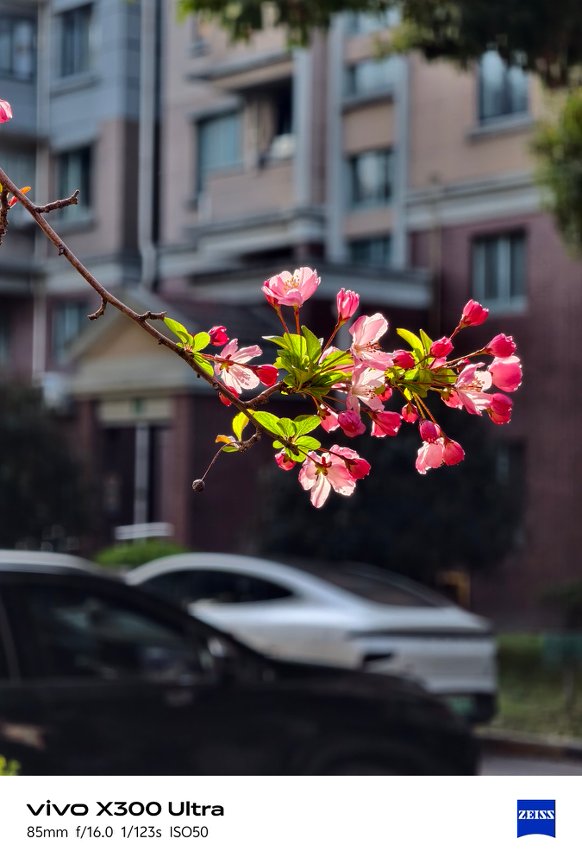 Ảnh chụp từ vivo X300 Ultra