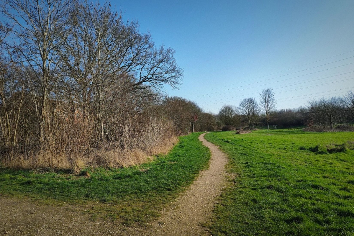 Cận cảnh Nothing Phone 4a về ảnh chụp camera