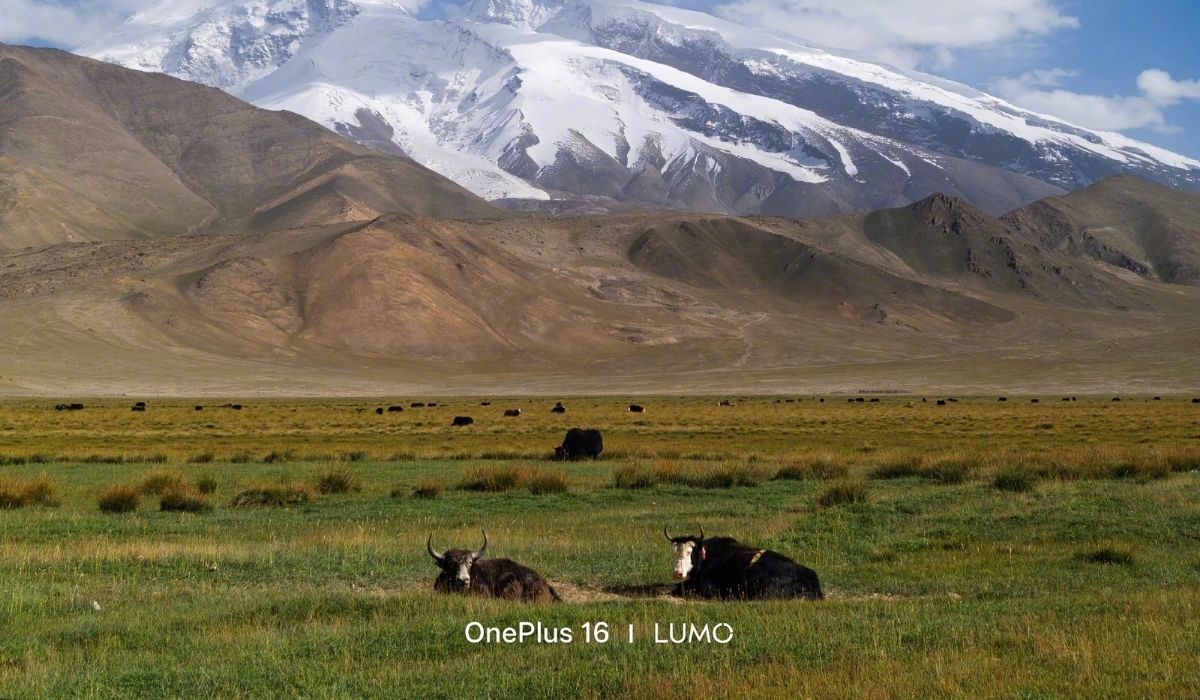 Cận cảnh OnePlus 16 và ảnh chụp từ camera