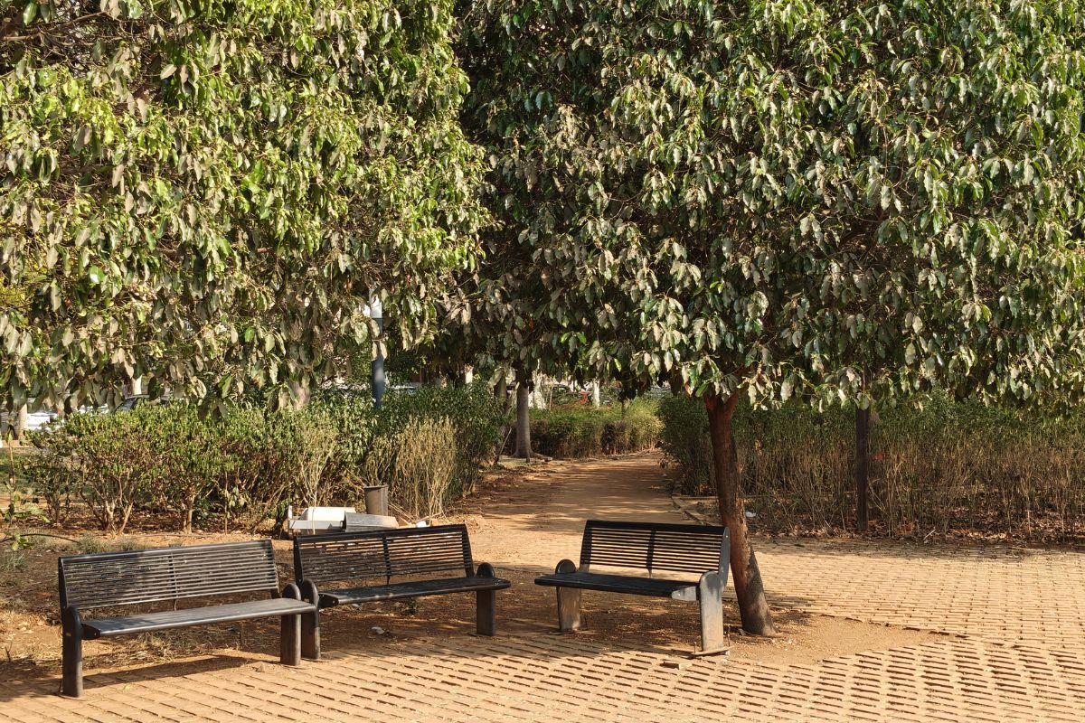 Cận cảnh OnePlus Nord 6: Ảnh chụp từ camera