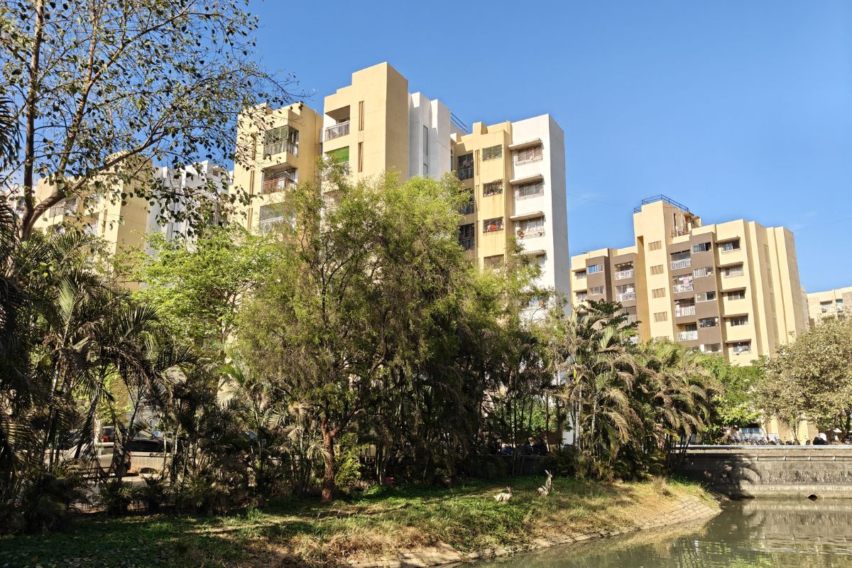 Cận cảnh OnePlus Nord 6: Ảnh chụp từ camera