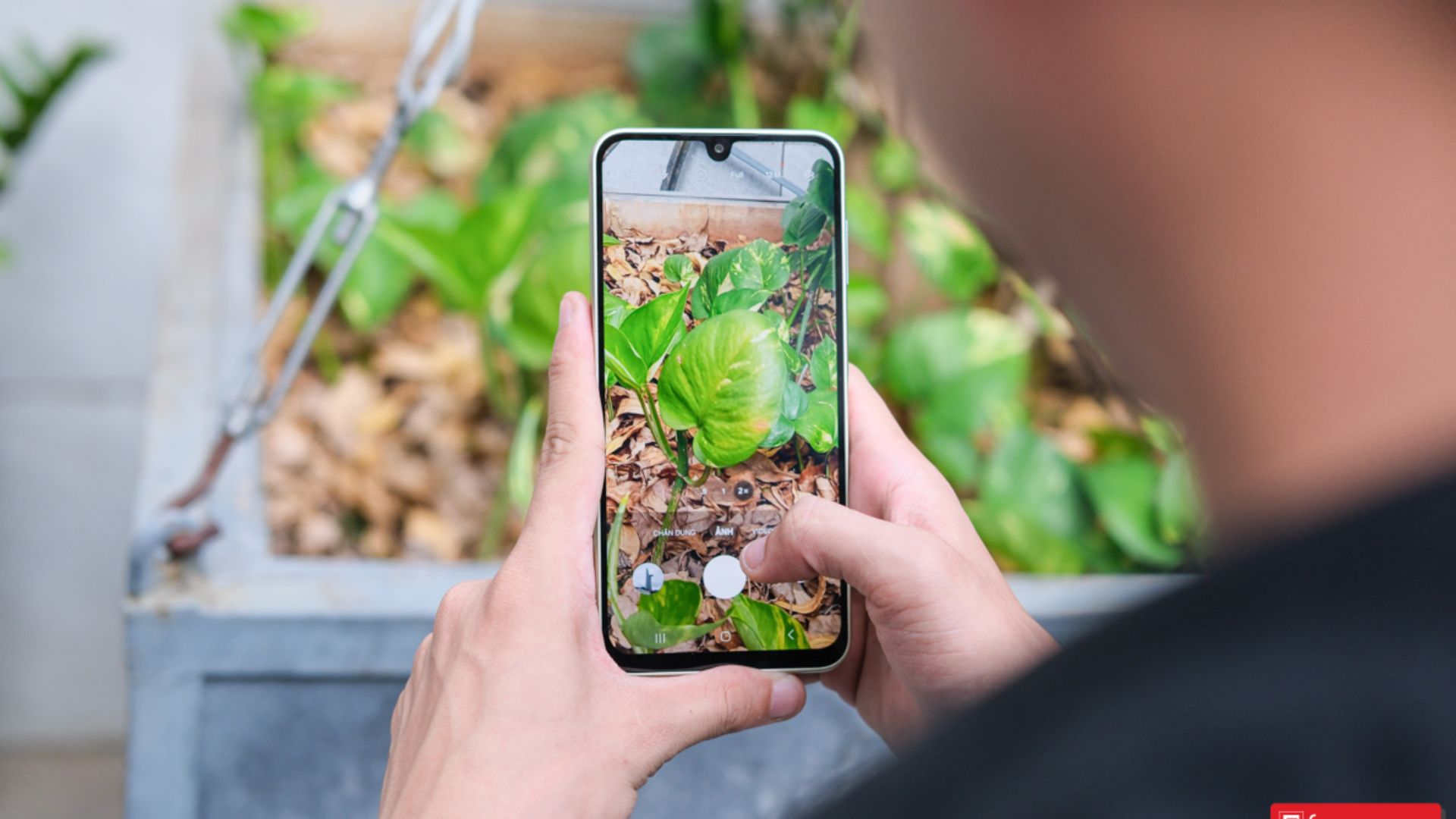 Điểm mặt những smartphone giá rẻ vừa lên kệ tại Việt Nam: Giá từ 2 triệu đồng, nhiều cái tên nổi như Samsung, Tecno,...