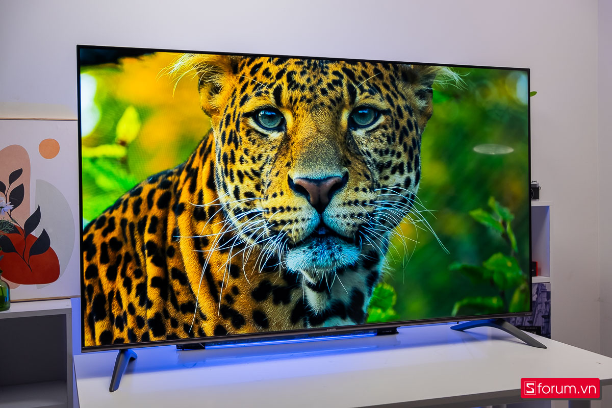 Có 15 triệu nên mua TV 65 inch hay máy chiếu