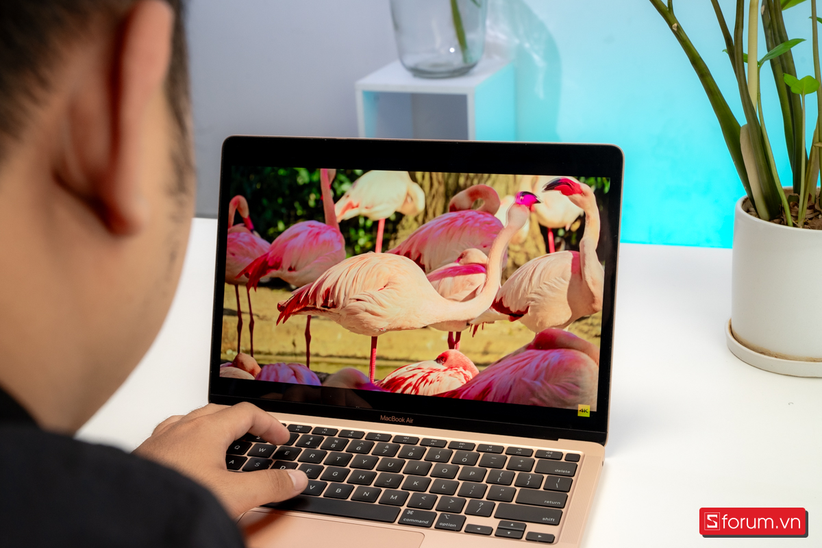 MacBook sang trọng dịp tháng ba