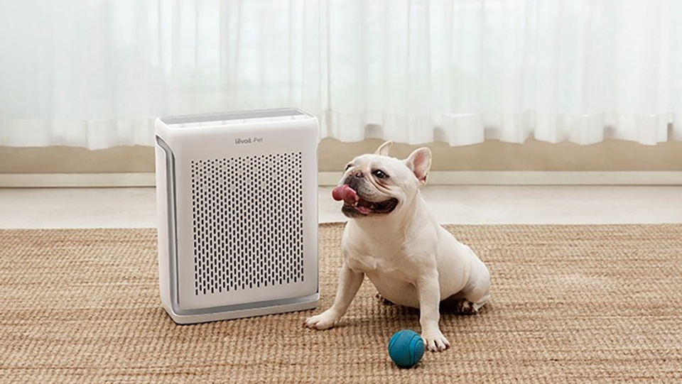 Máy lọc không khí dưới 3 triệu