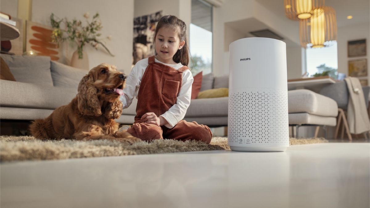 Máy lọc không khí dưới 3 triệu