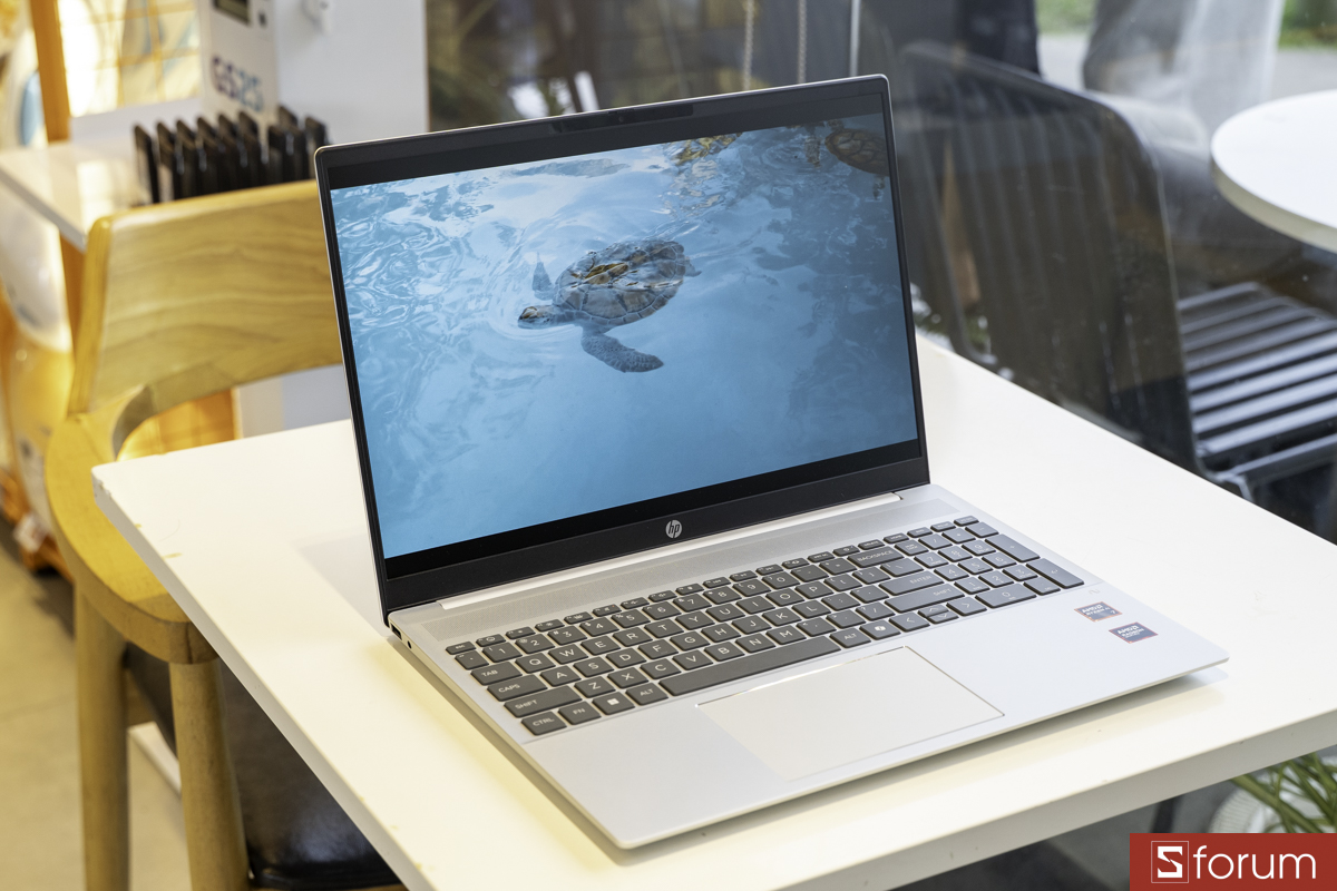 Màn hình hiển thị của HP OmniBook 5