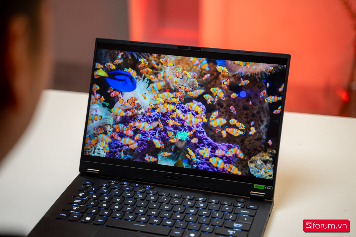 ASUS TUF Gaming A14 bản giá rẻ có gì đáng chú ý