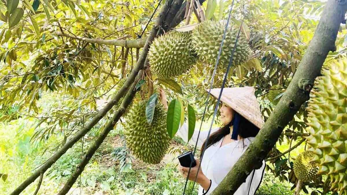 Những địa điểm chụp ảnh đẹp ở Bến Tre