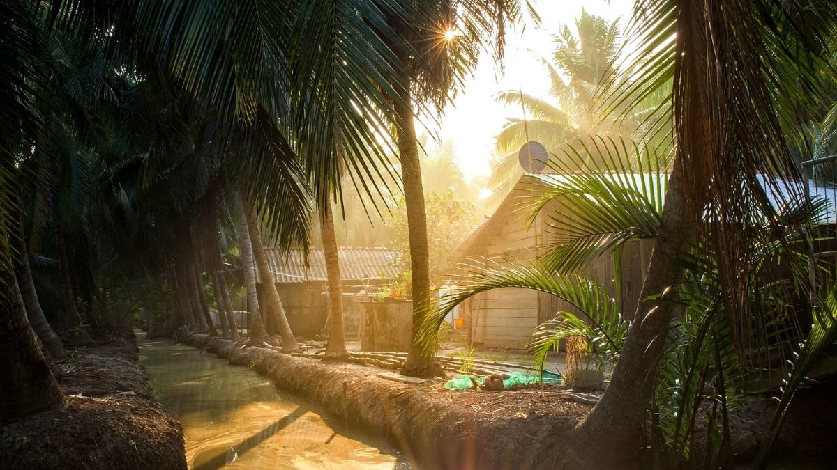 Ảnh cảnh đẹp thiên nhiên Bến Tre