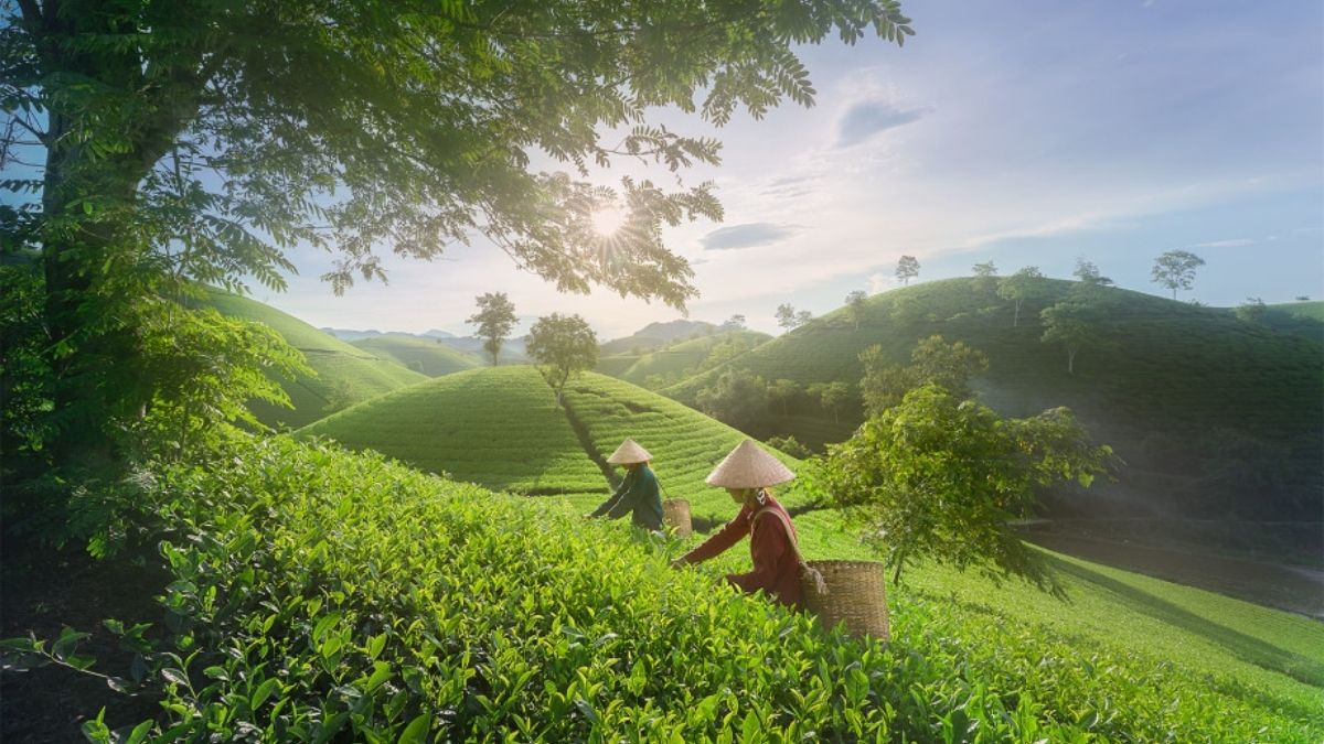 hình ảnh hà tây
