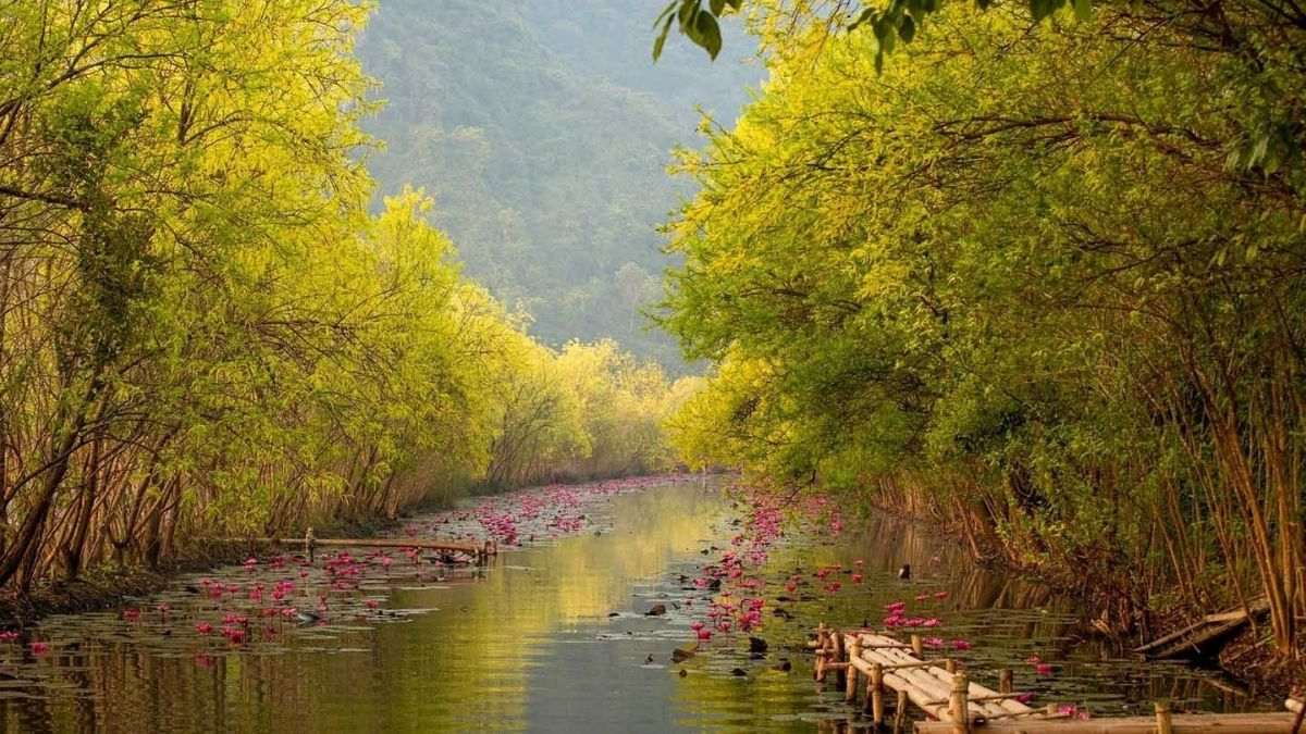 hình ảnh cảnh đẹp hà tây