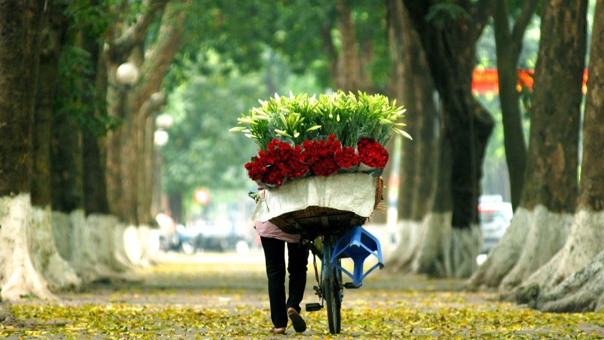Ảnh đẹp tháng 11