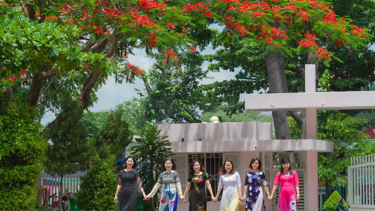 hình ảnh hoa phượng sân trường